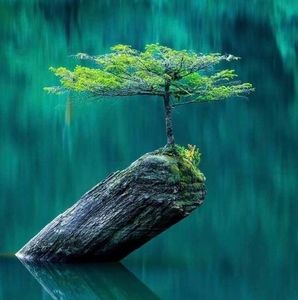 Meet your Posher, M anwar